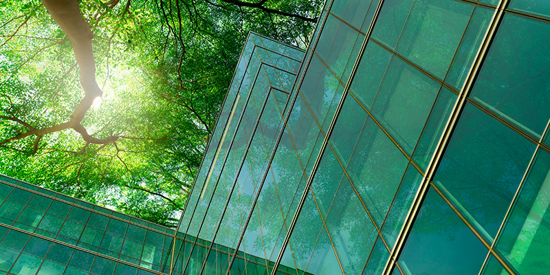 a view from the bottom of a green building and a tall tree