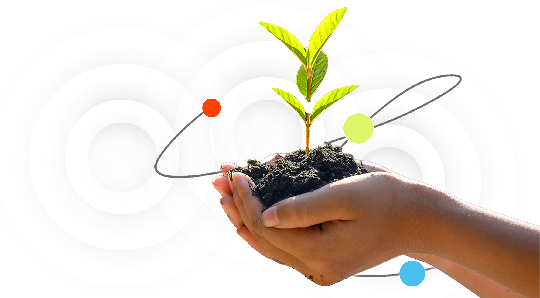 Banner - environment - hands holding a small plant