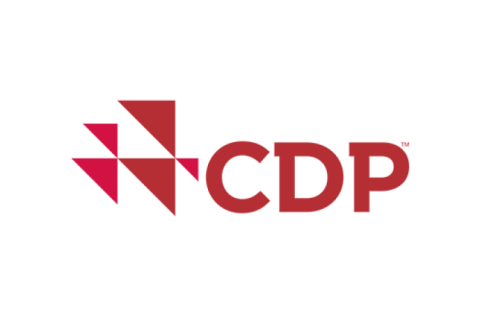 CDP logo