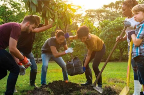 Volunteers planting trees